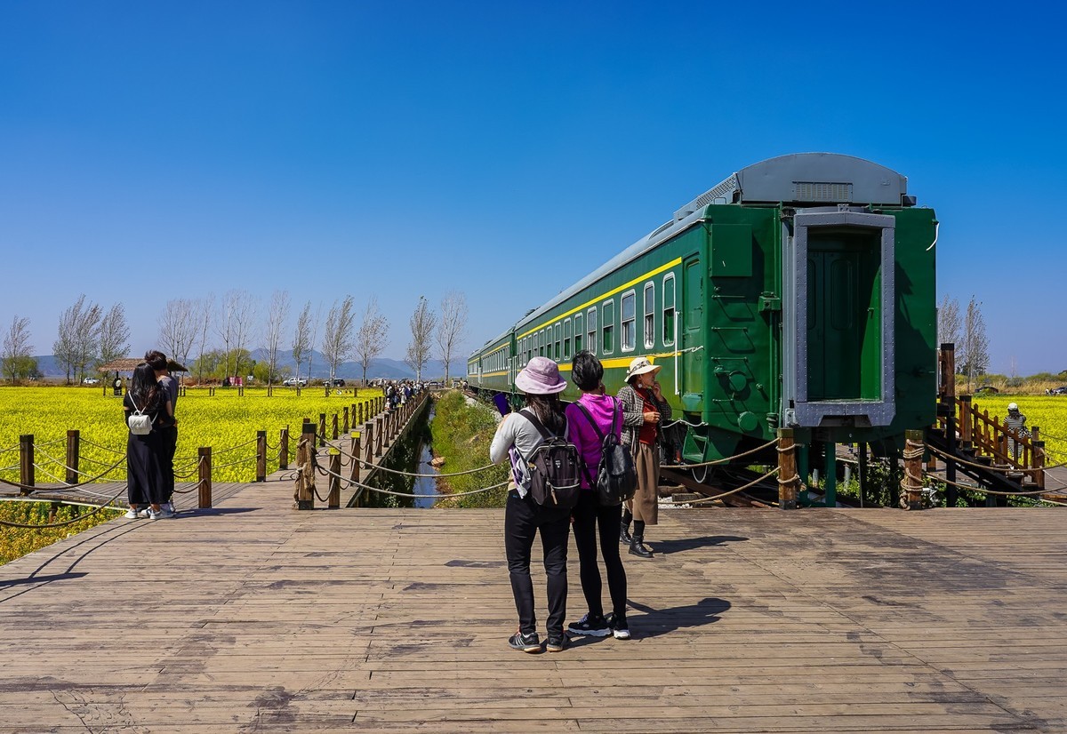 春日记忆—绿皮火车+油菜花海