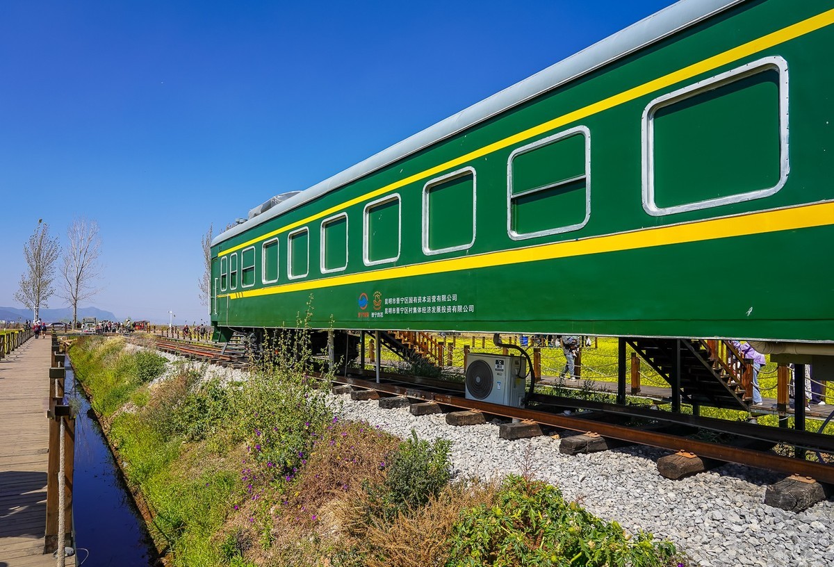 春日记忆—绿皮火车+油菜花海