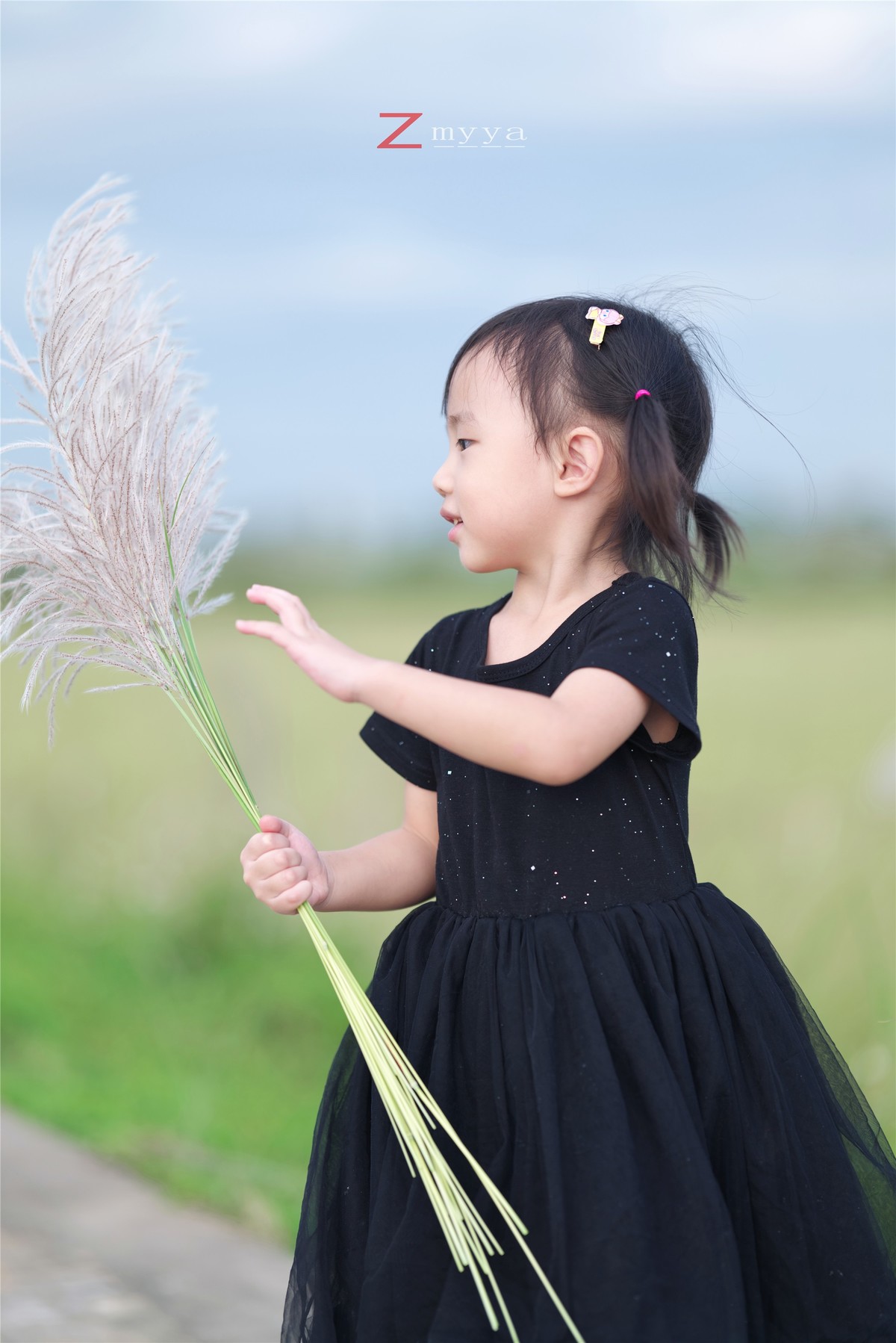 芦苇丛里的丑小鸭