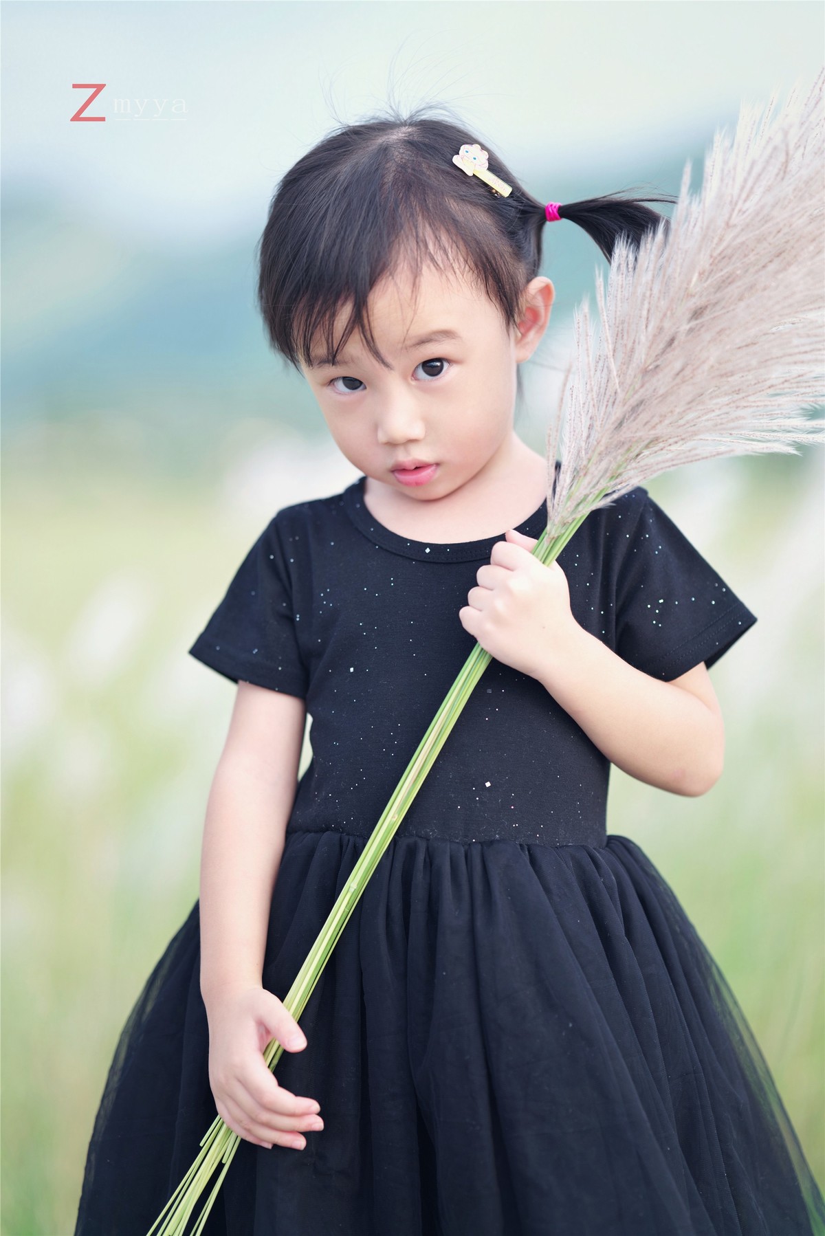 芦苇丛里的丑小鸭