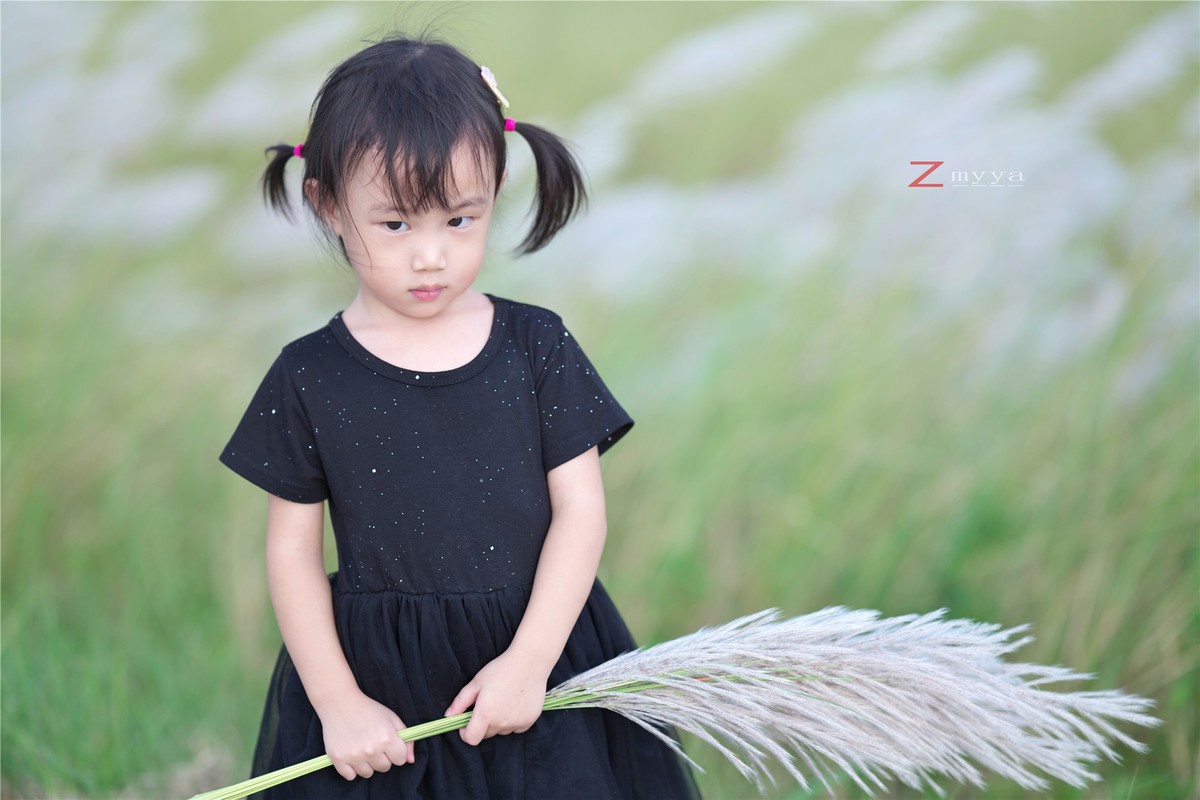 芦苇丛里的丑小鸭