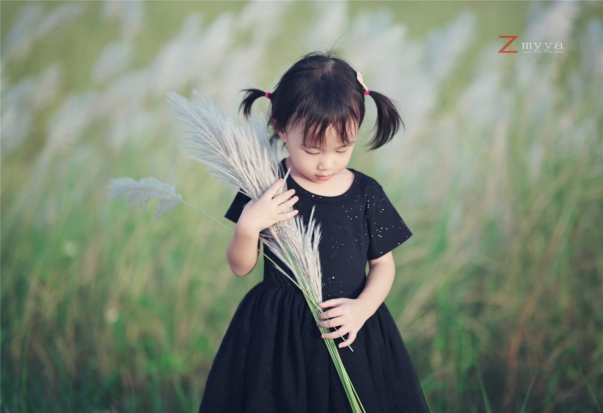 芦苇丛里的丑小鸭