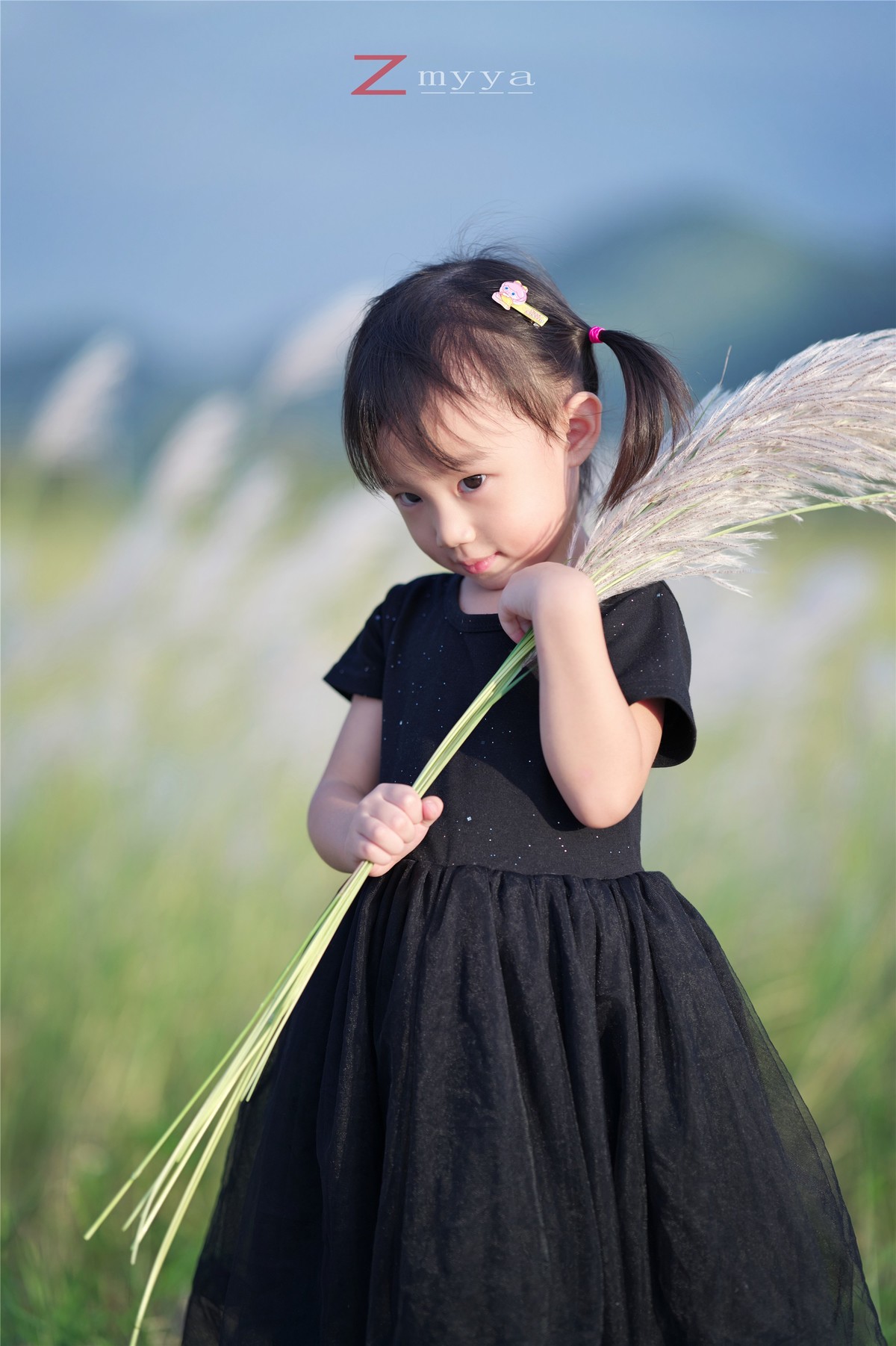 芦苇丛里的丑小鸭