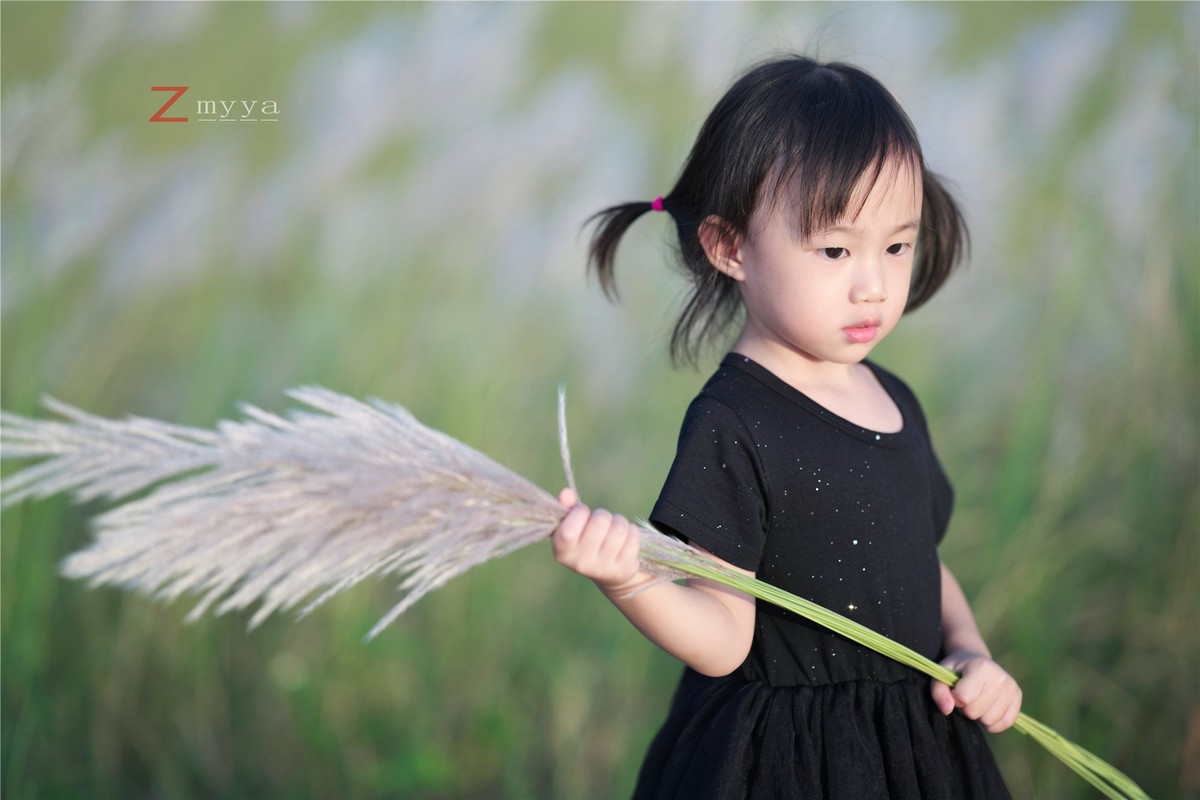 芦苇丛里的丑小鸭