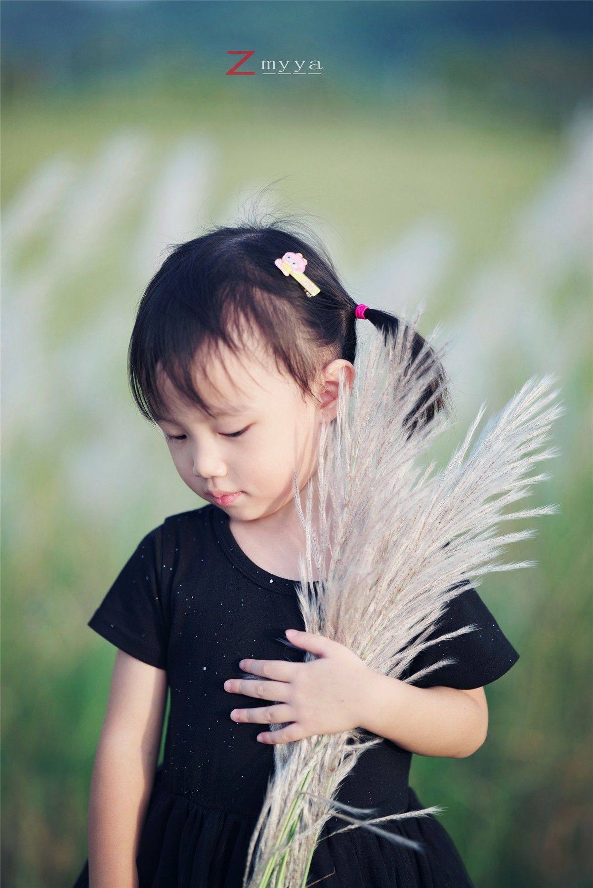 芦苇丛里的丑小鸭