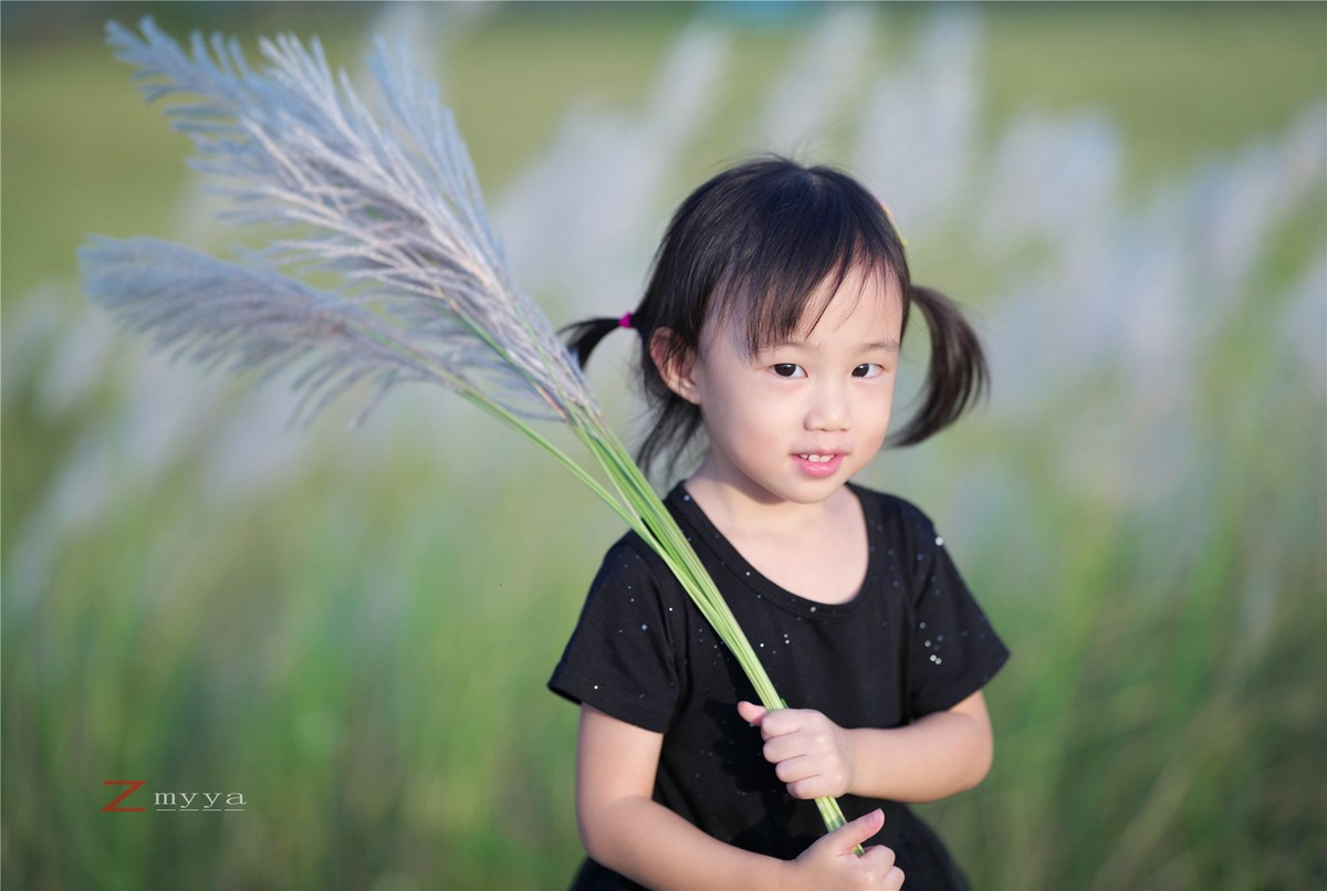 芦苇丛里的丑小鸭