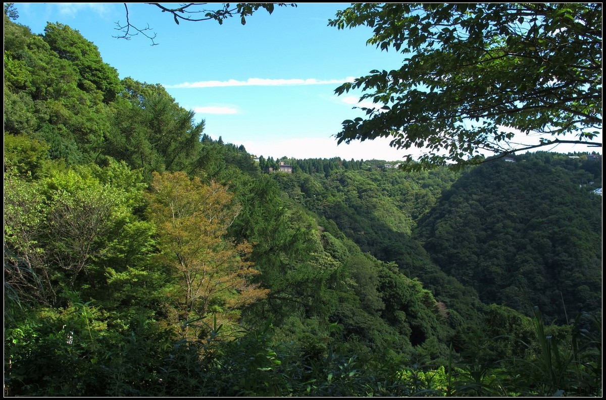旅游随拍 神户 六甲山牧场