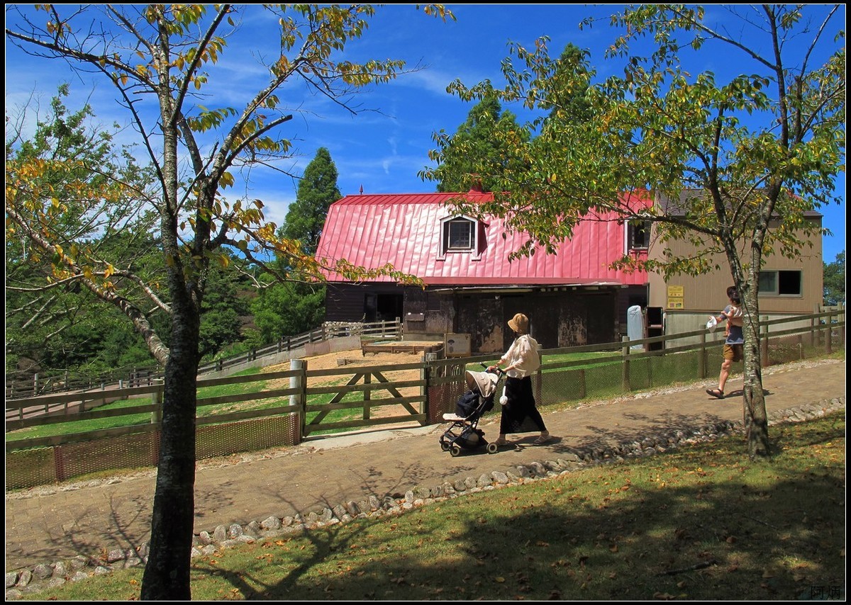 旅游随拍 神户 六甲山牧场