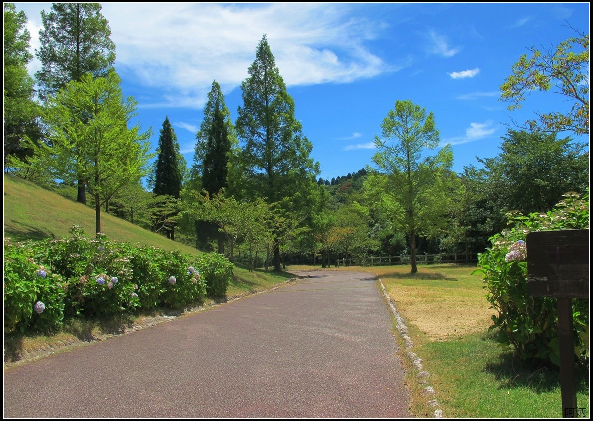 旅游随拍 神户 六甲山牧场