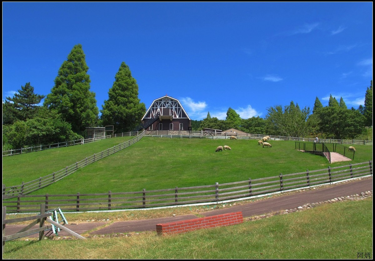 旅游随拍 神户 六甲山牧场
