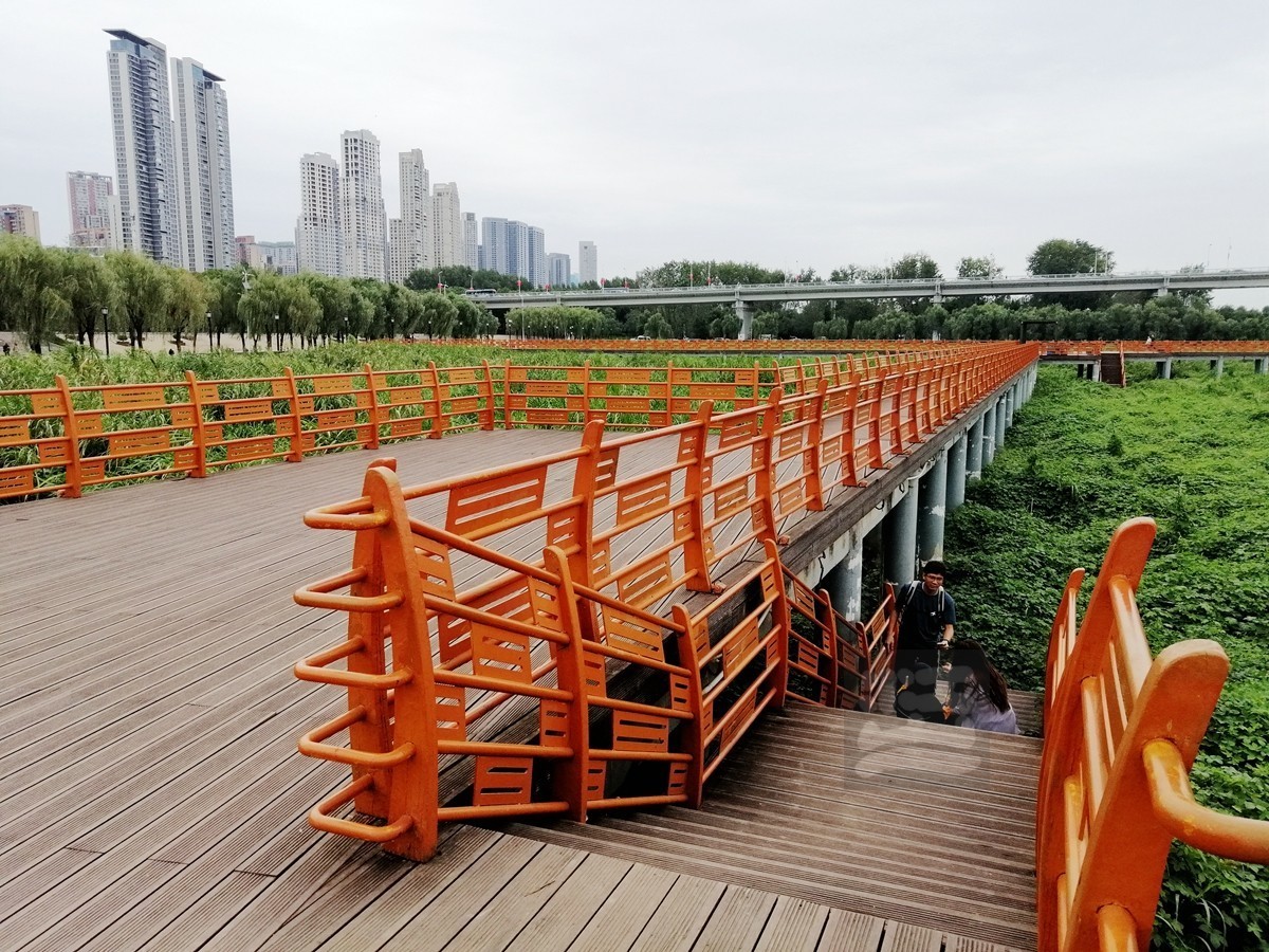 秋水芦浪——武汉随笔