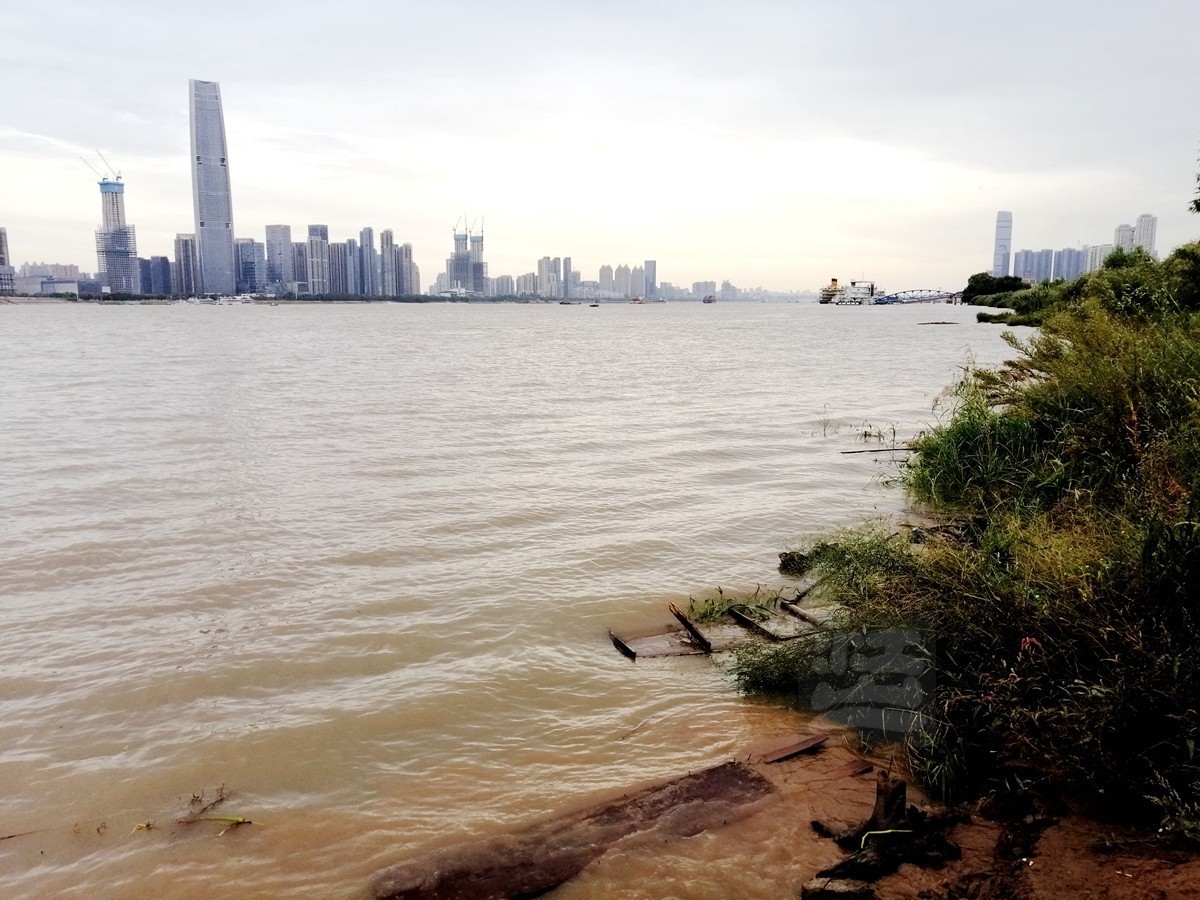 秋水芦浪——武汉随笔