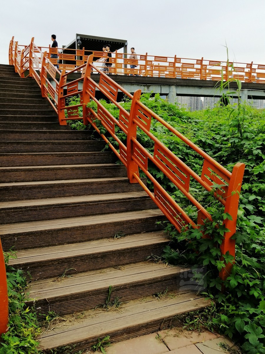 秋水芦浪——武汉随笔