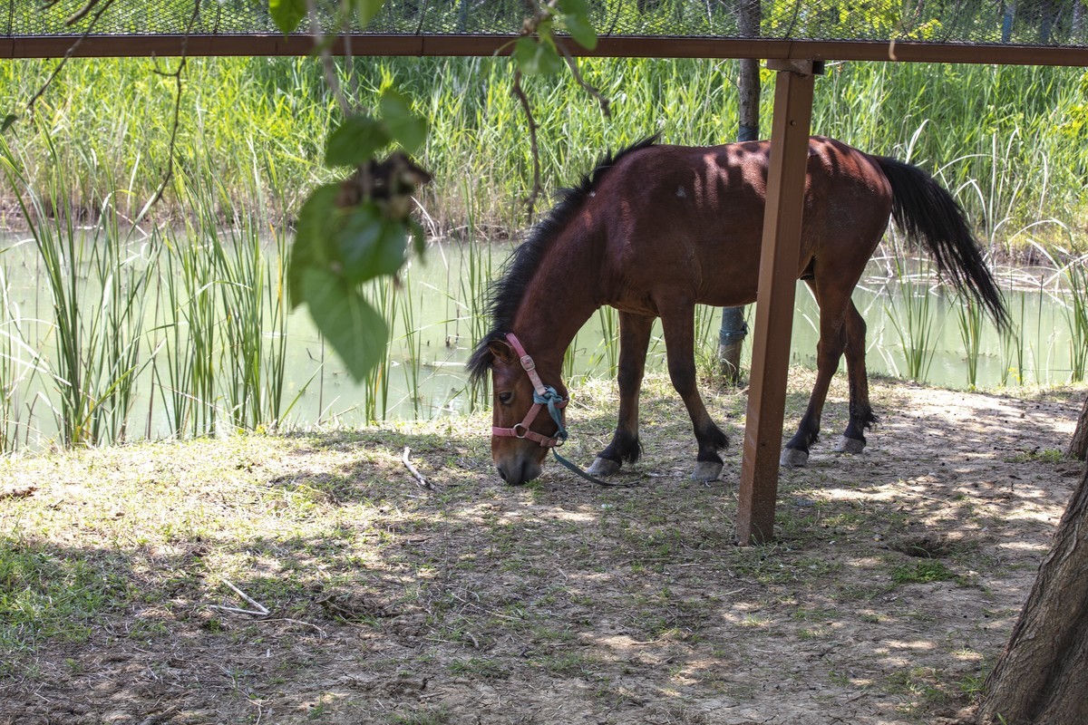 洪泽湖湿地公园3