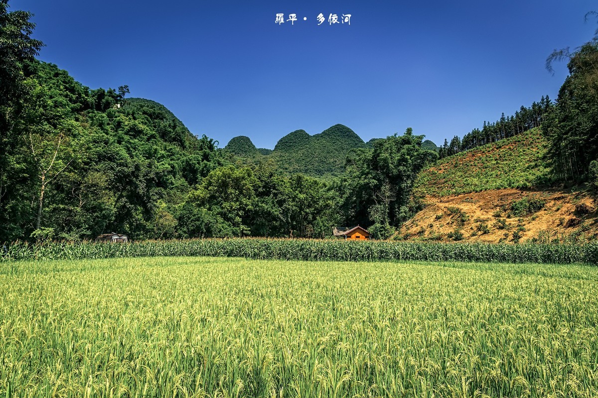 云南罗平 · 多依河风景区（4）