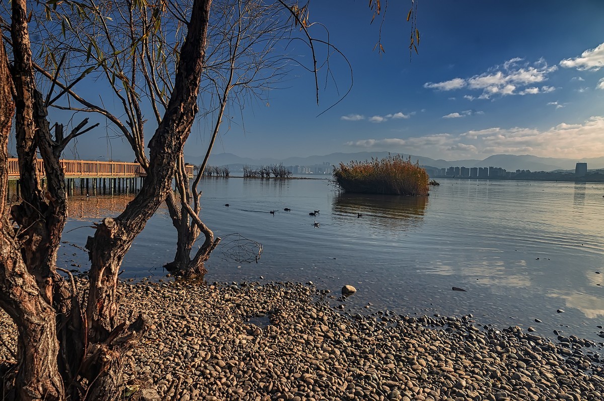 大理 · 洱海月湿地公园
