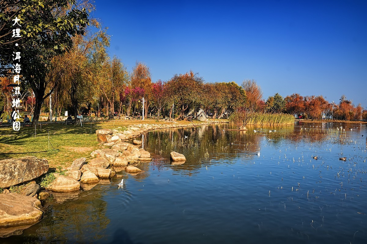 大理 · 洱海月湿地公园