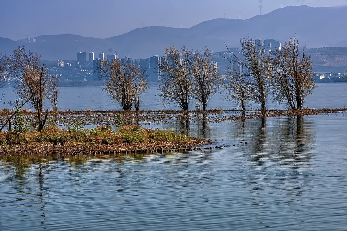 大理 · 洱海月湿地公园