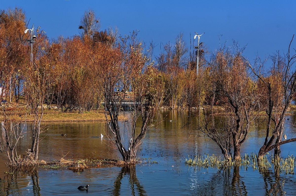 大理 · 洱海月湿地公园