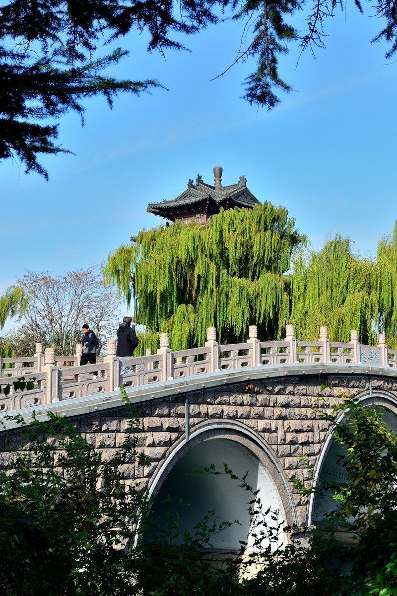 【视觉光影】泉 城 秋 色 （5）