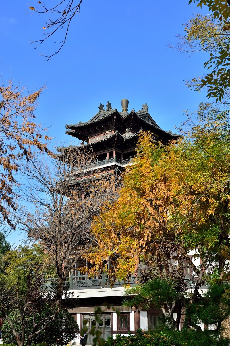 【视觉光影】泉 城 秋 色 （5）