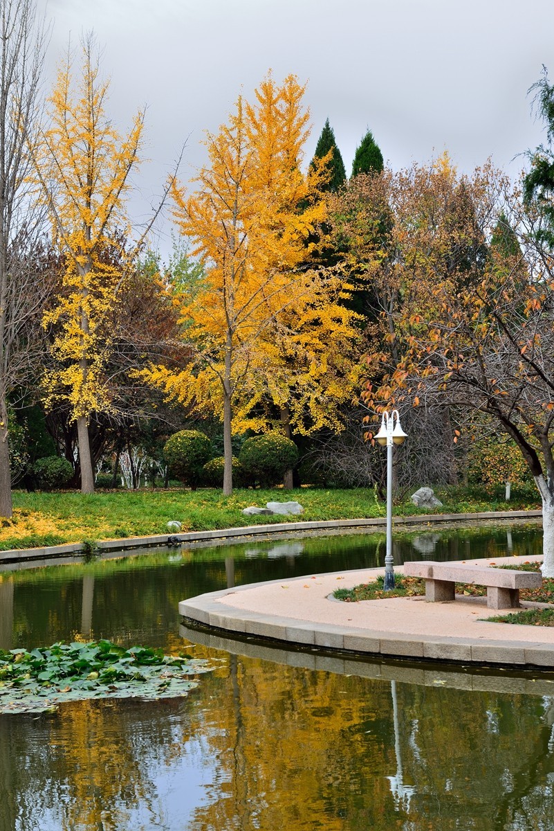 【视觉光影】泉 城 秋 色 （5）