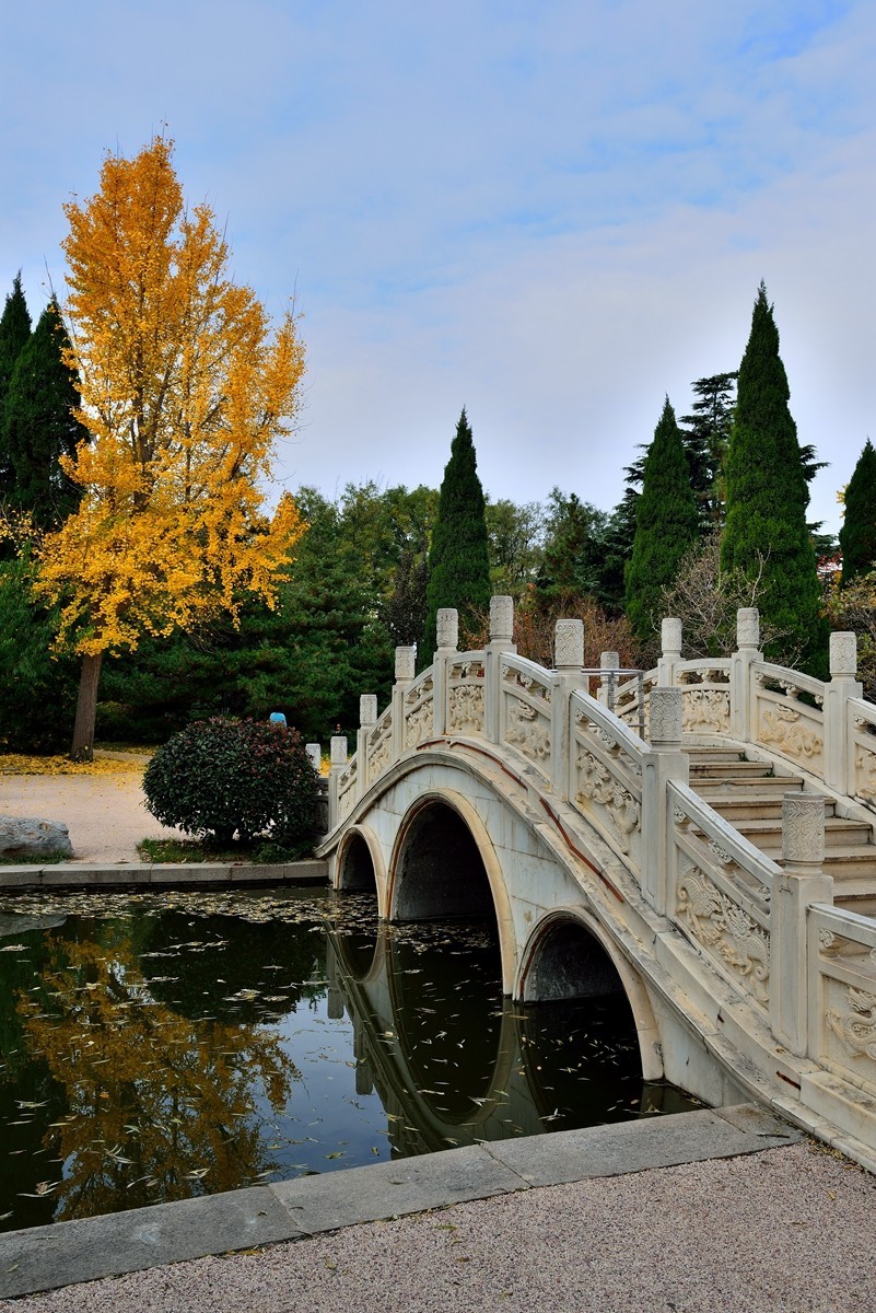 【视觉光影】泉 城 秋 色 （5）