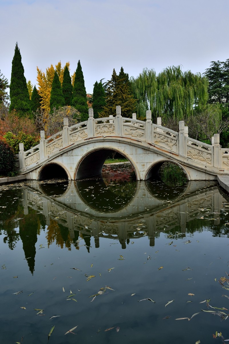 【视觉光影】泉 城 秋 色 （5）