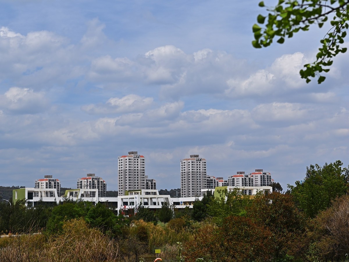 2025初春步行随拍 （贰拾玖）