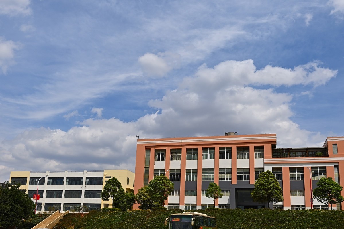 2025初春步行随拍 （贰拾玖）