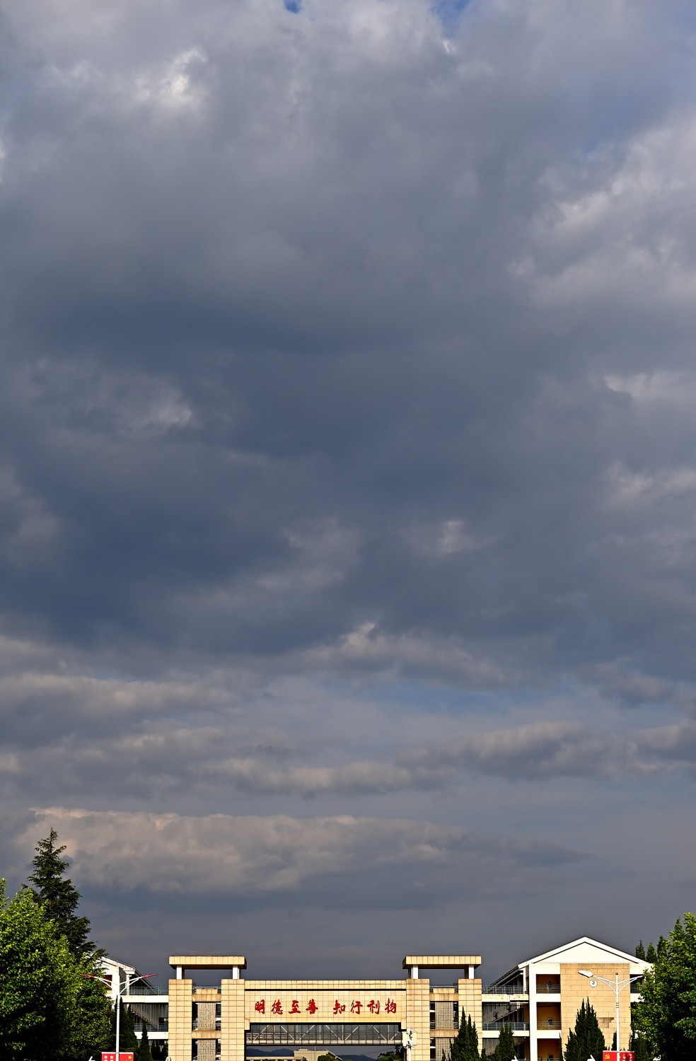 2025初春步行随拍 （贰拾玖）