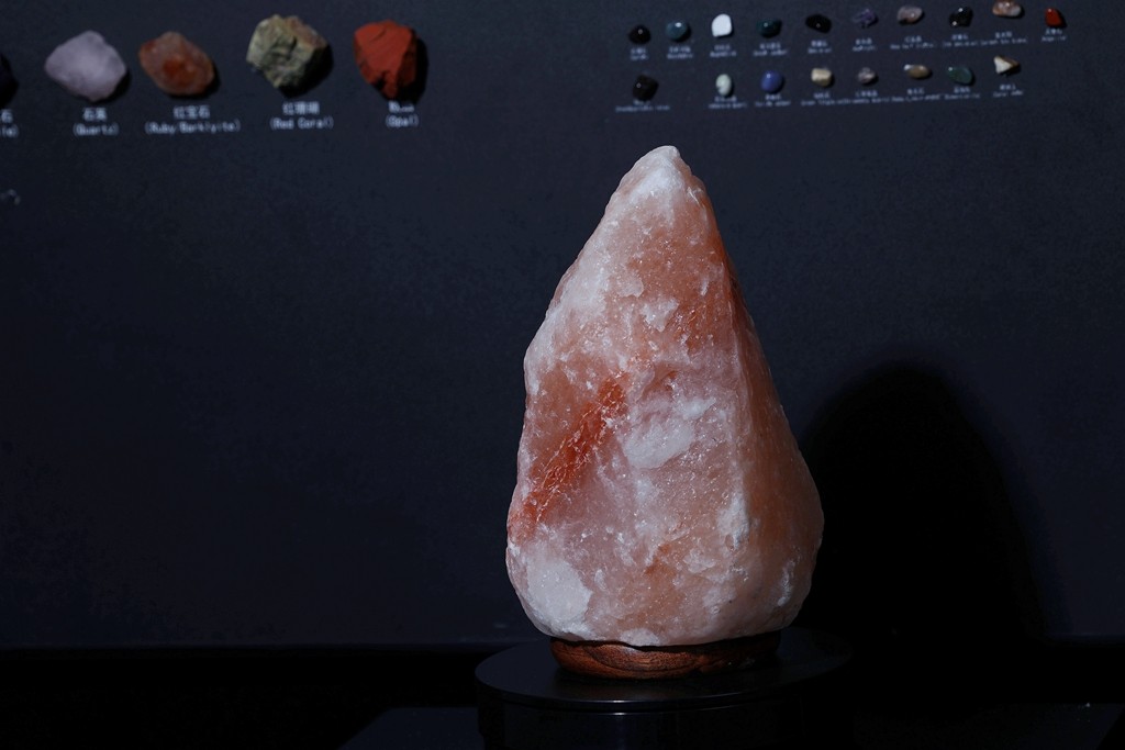 摄影器材展现场