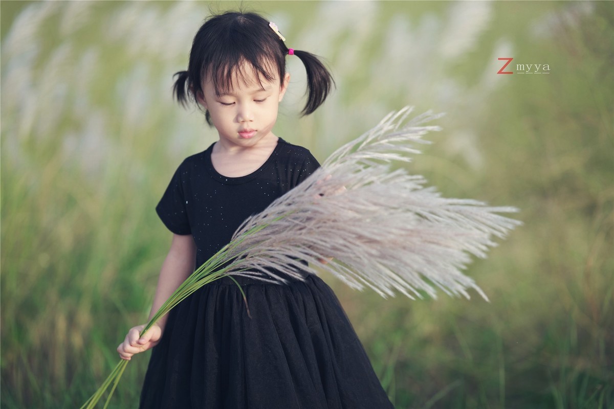 芦苇丛里的丑小鸭