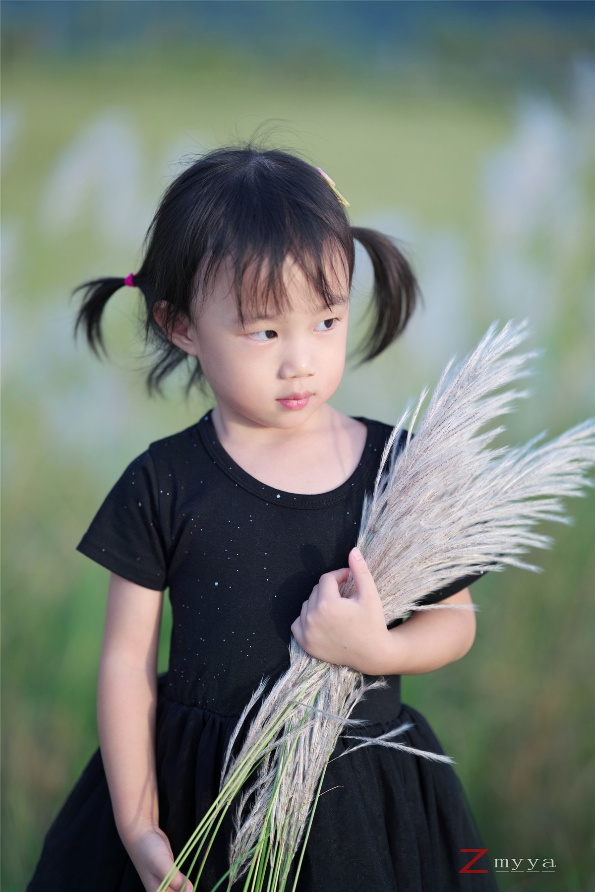 芦苇丛里的丑小鸭