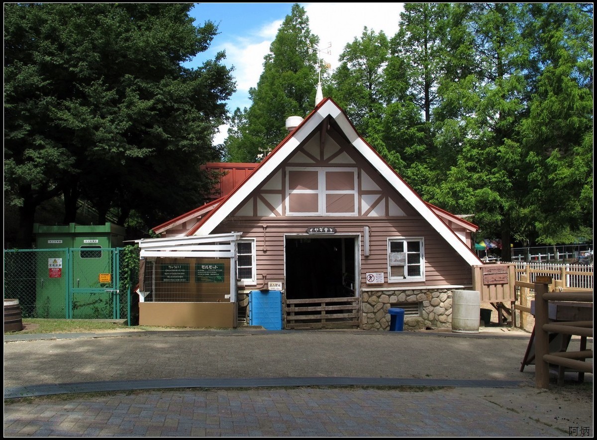 旅游随拍 神户 六甲山牧场