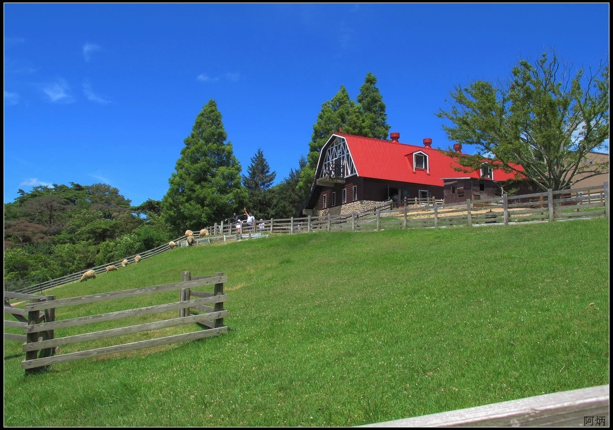 旅游随拍 神户 六甲山牧场