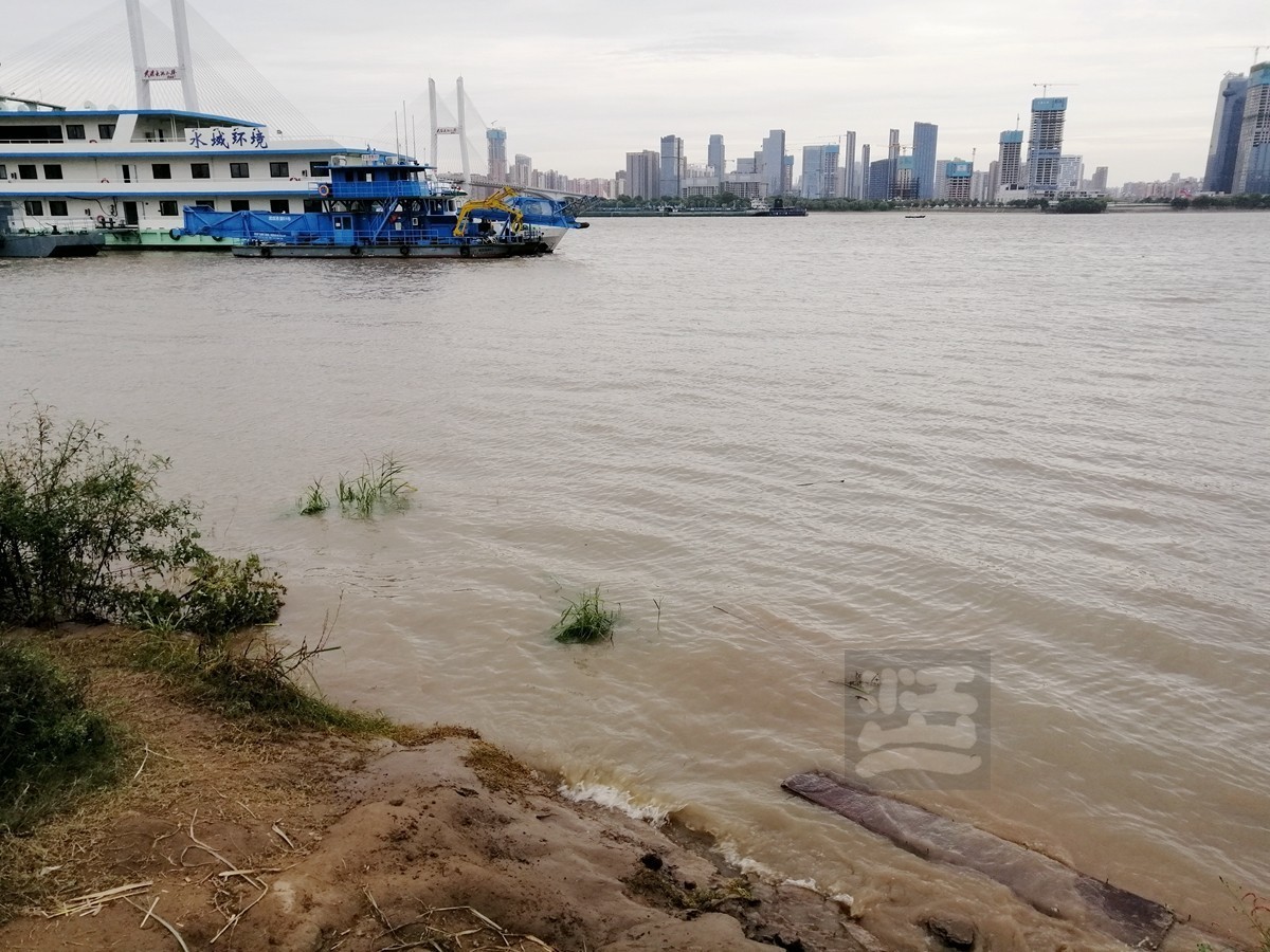 秋水芦浪——武汉随笔