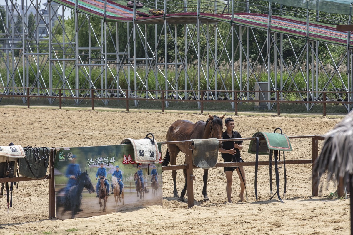 洪泽湖湿地公园3