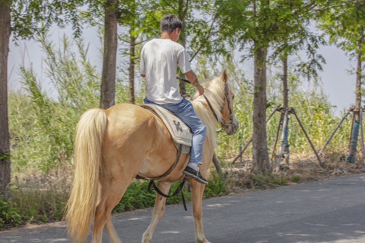洪泽湖湿地公园3
