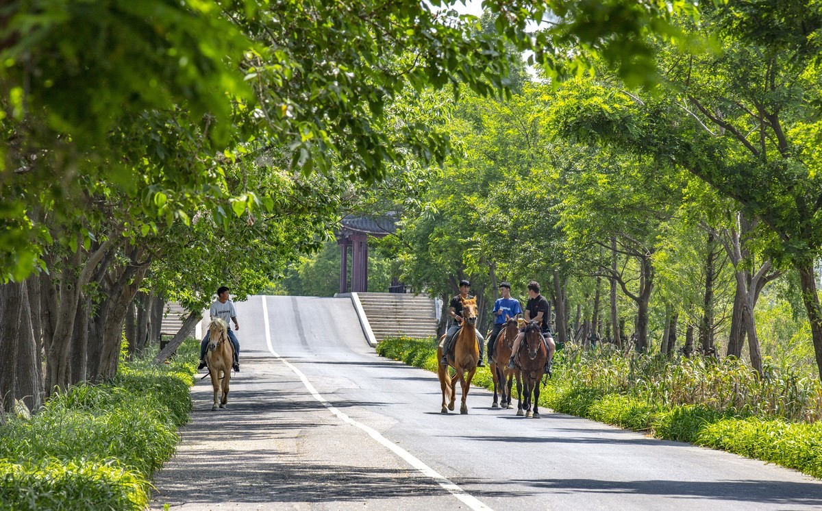洪泽湖湿地公园3
