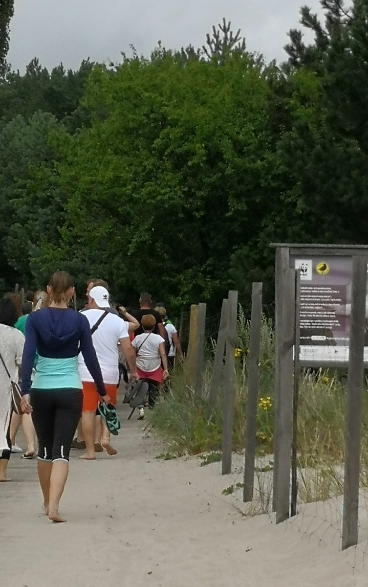 徒步“希尔半岛”之--“林中要塞”