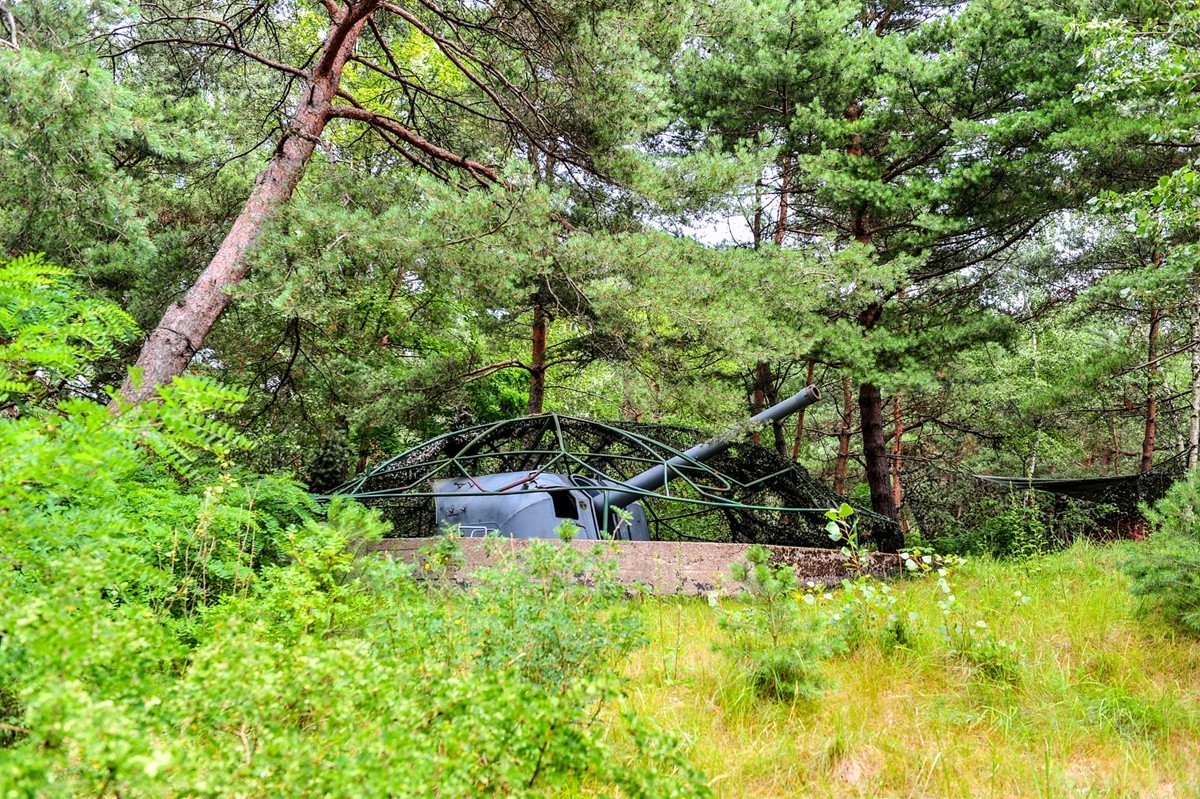 徒步“希尔半岛”之--“林中要塞”