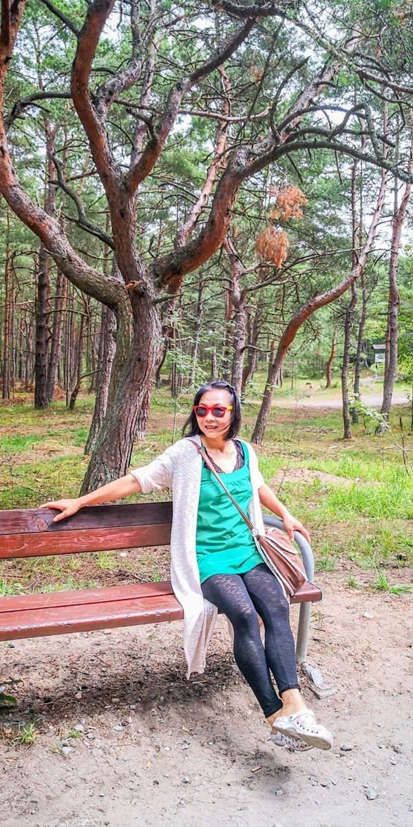 徒步“希尔半岛”之--“林中要塞”