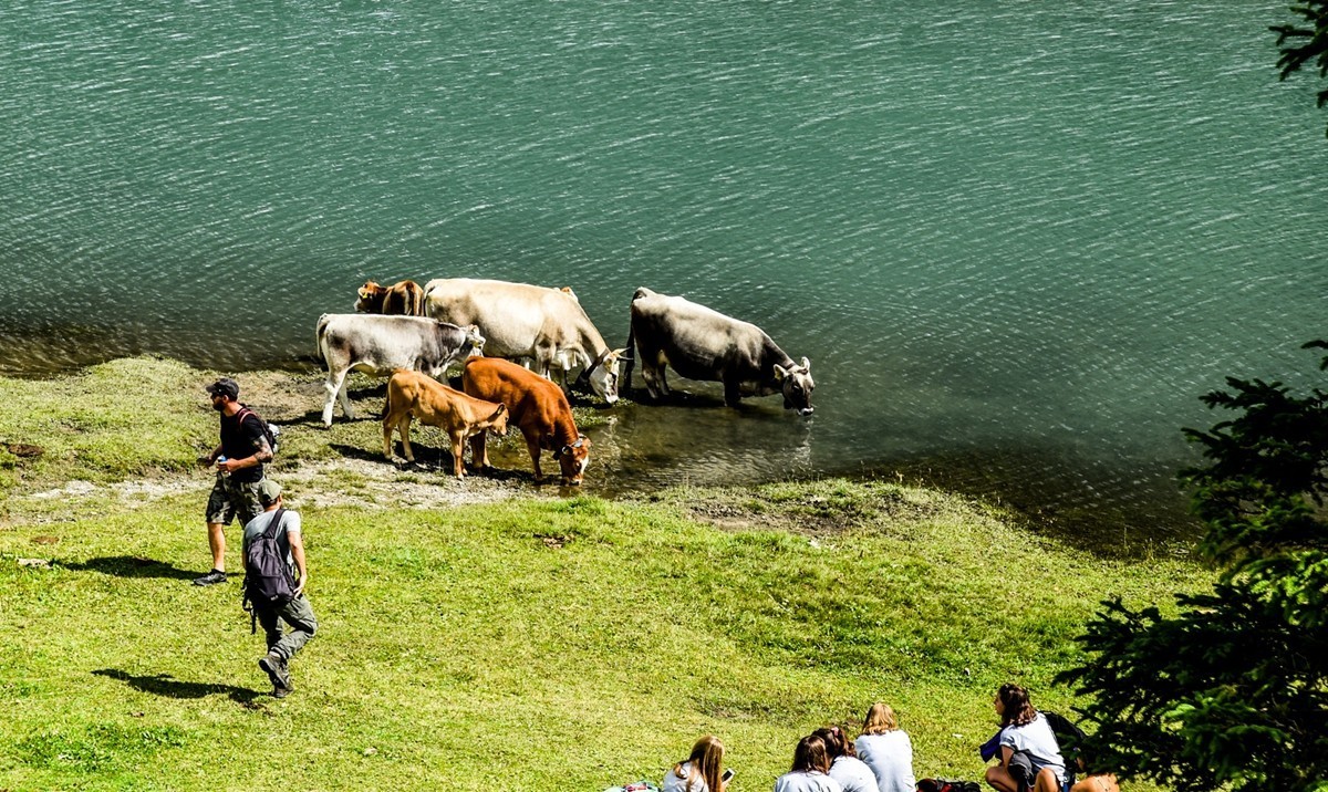 游在“瑞士”之--徒步“Stoos”