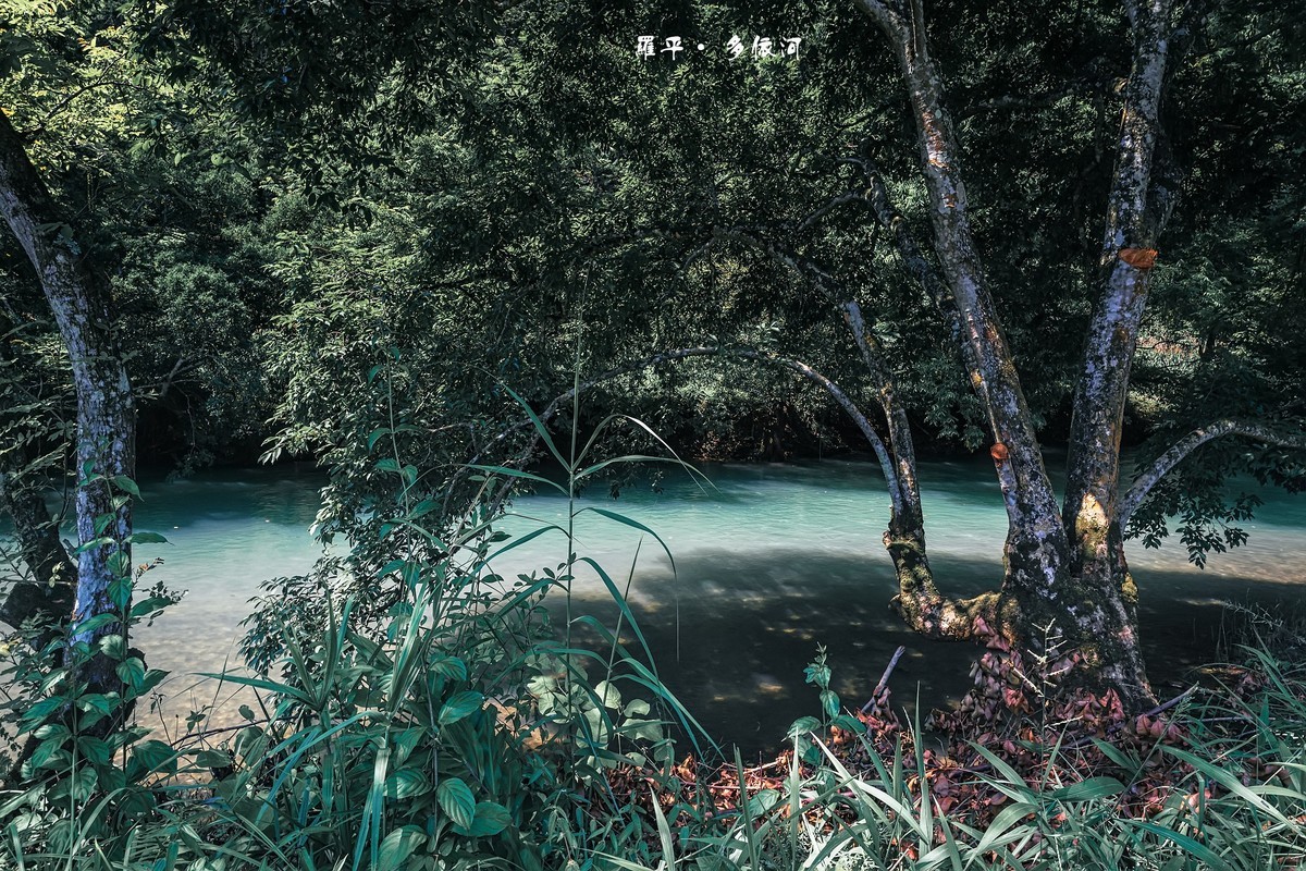 云南罗平 · 多依河风景区（4）