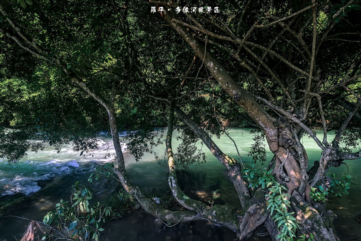 云南罗平 · 多依河风景区（4）
