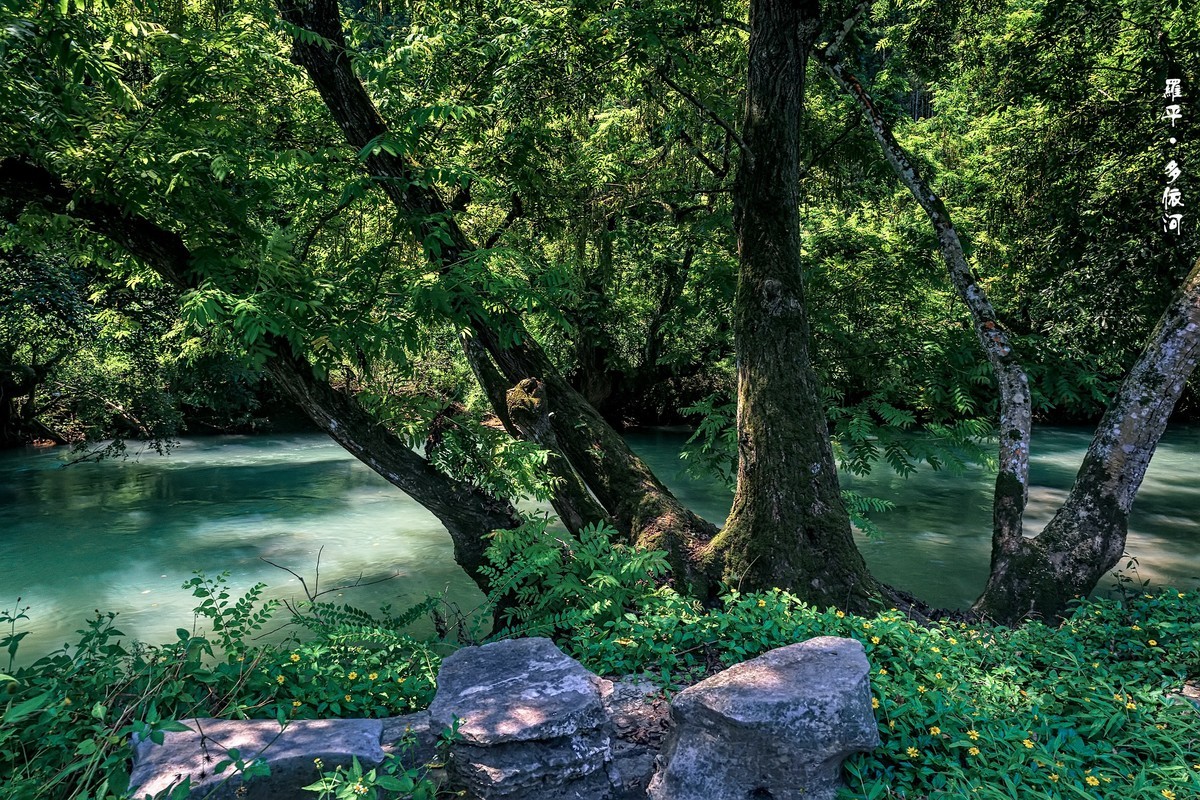 云南罗平 · 多依河风景区（4）