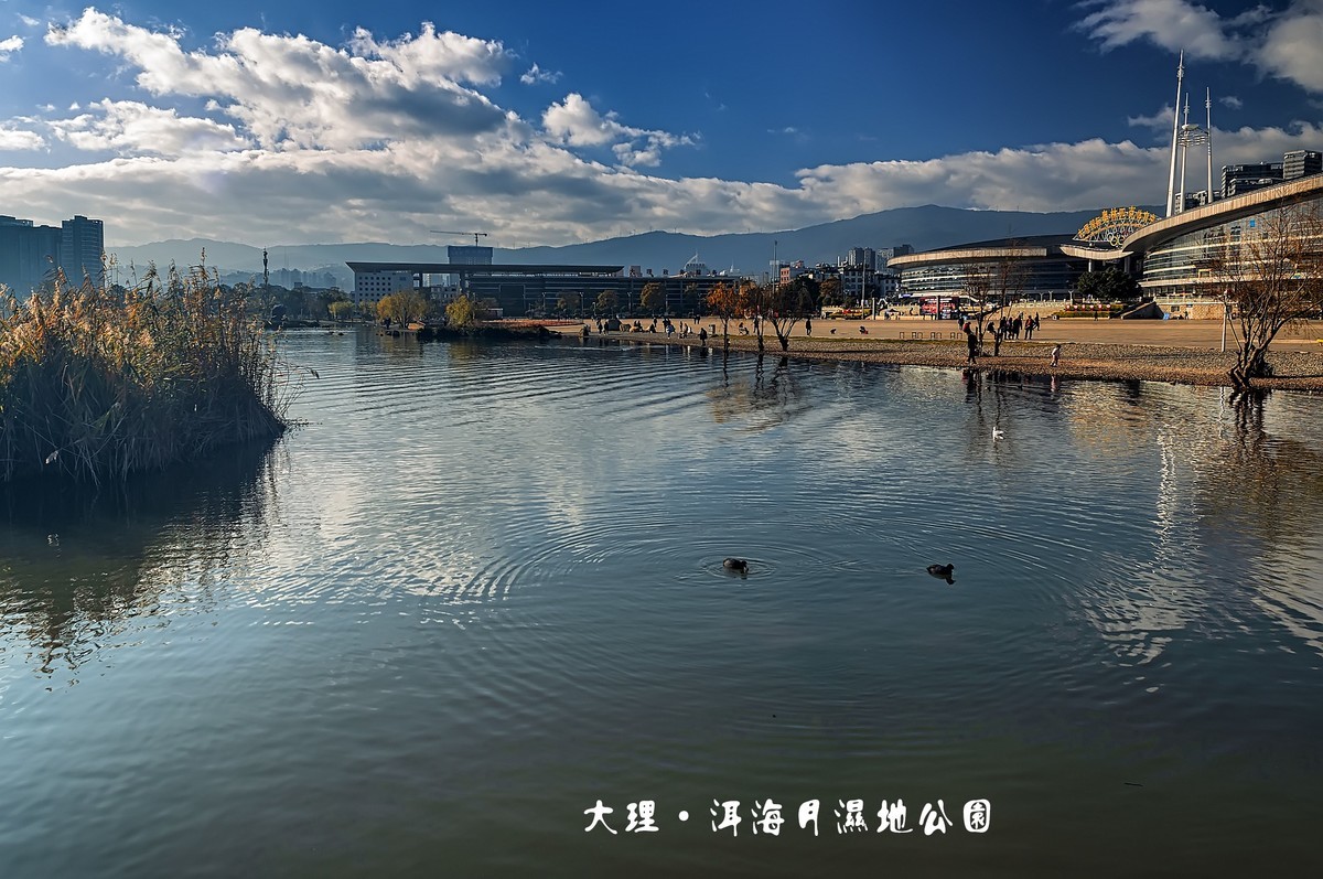大理 · 洱海月湿地公园