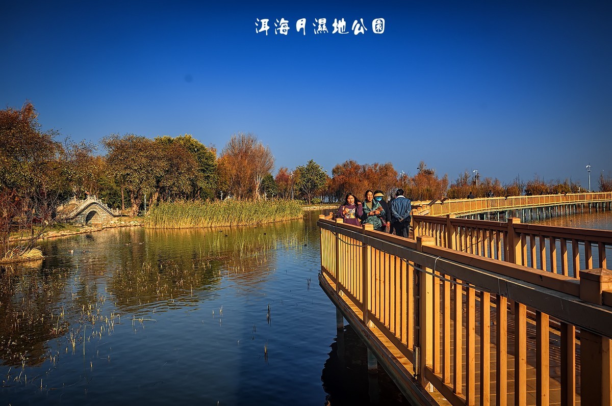 大理 · 洱海月湿地公园