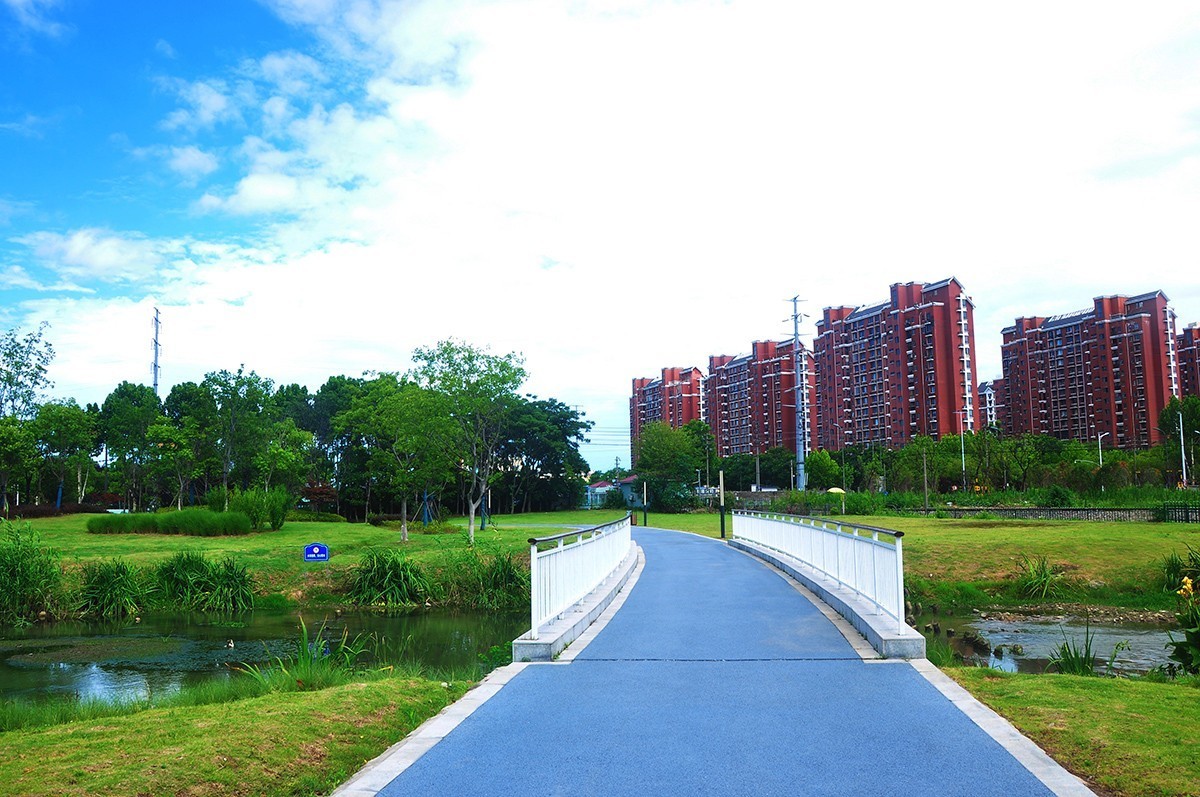 夏空流云（江东生态湿地公园）